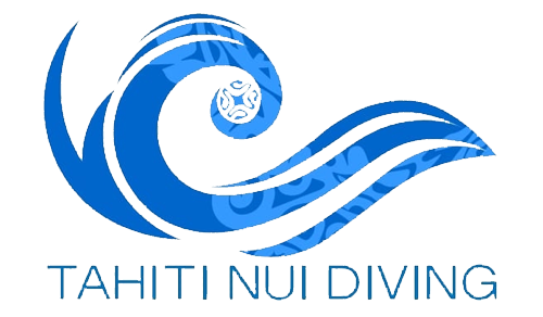 tnd logo